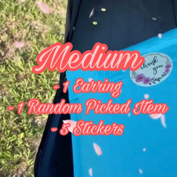 Surprise Grab Bags - Picture 3 of 4